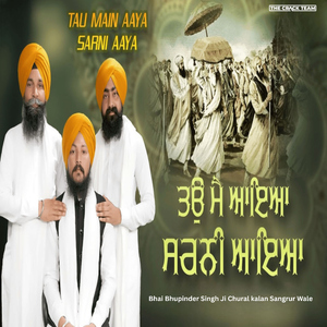 Tau Main Aaya Sarni Aaya