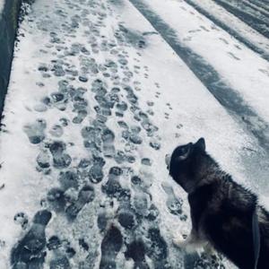 Leaking (feat. takouri)