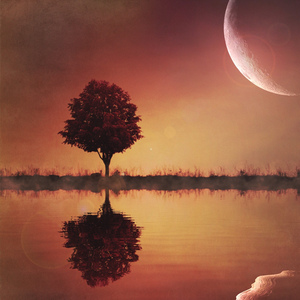 Moonshot