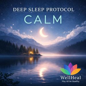 Introduction to Deep Sleep