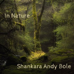 Guitar On Cannock Chase, Staffordshire