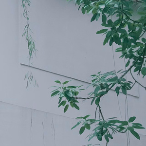 凭栏听风 2025.9.13