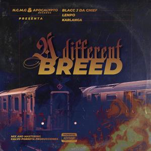 A different breed (feat. Lempo & Karlanga)