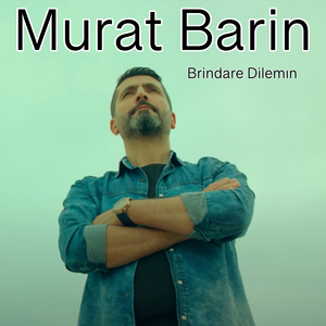 Brindare Dilemın