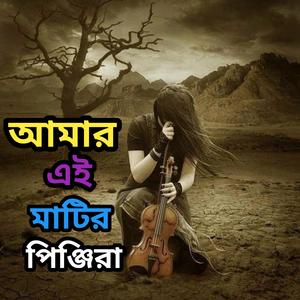 Amar Ai Matir Pinjira