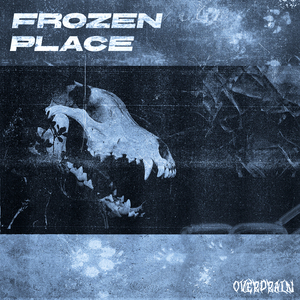Frozen Place