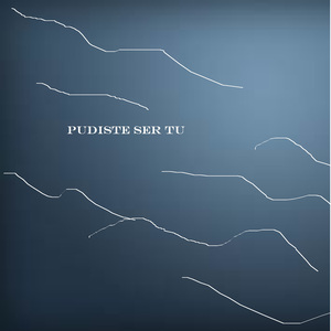Pudiste Ser Tu