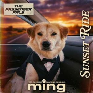 เสียงของหัวใจ