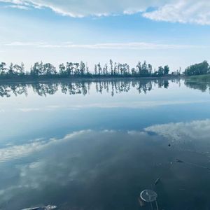 在他的身旁-整曲 伴奏