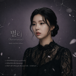 벚꽃이 졌어
