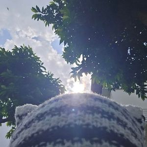 青い棘 (Cover 神山羊)