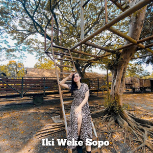 Iki Weke Sopo