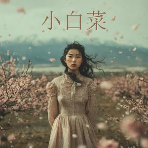 小白菜
