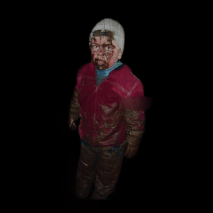 Садок вишневий коло хати