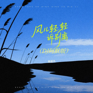 风儿轻轻诉别离 (DJ阿默版)