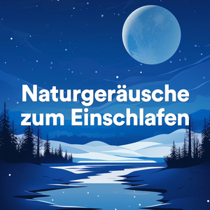 Urlaubsgefühle: Waldwanderung