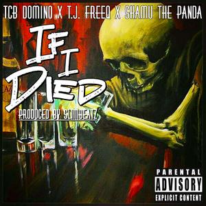 If I Died (feat. T.J. Freeq & Shamu The Panda)