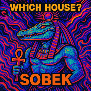 Beetle Bird (Wh1ch House? Remix)