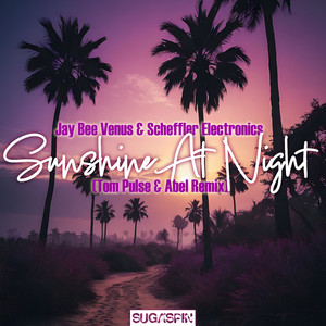 Sunshine At Night (Tom Pulse & Abel Remix)