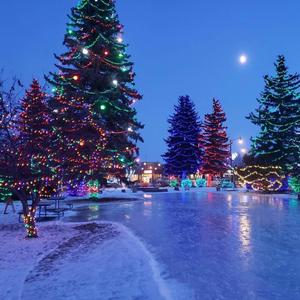 Winter's Love (feat. Xander Holiday)