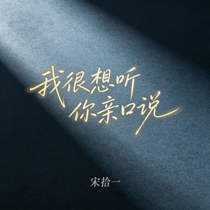 我很想听你亲口说