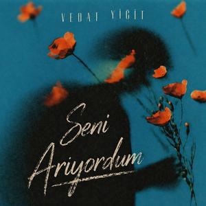 Seni Arıyordum