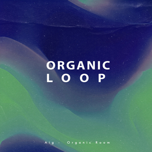 Organic Room (Exended Mix)