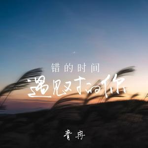 错的时间遇见对的你 (DJ豪大大版)