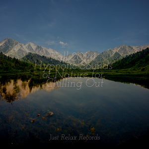 Soulful Solace Symphony