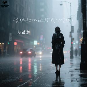 请你把心还给我(DJ版)