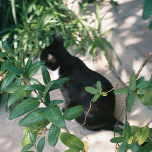 하지 못했던 말