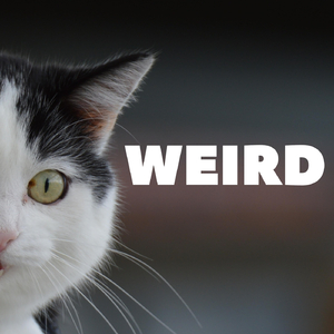 Weird