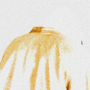 FOUND (feat. 3leven)