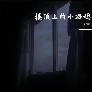 楼顶上的小斑鸠