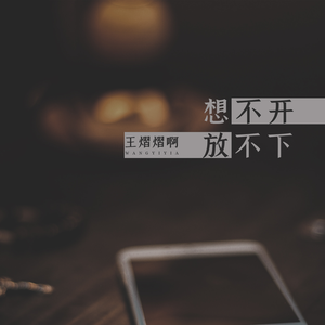 想不开放不下 (伴奏)
