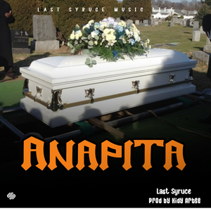 Anapita
