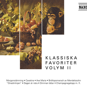 Ellens Gesang III (Ave Maria!), Op. 52, No. 6, D. 839, "Hymne an die Jungfrau"