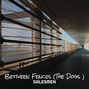 Last Song (The Dogs)