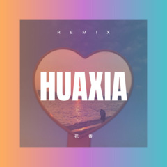 寂寞太迟 (DJ版)