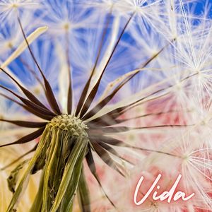 Vida