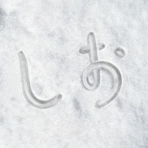 ドーナツホール