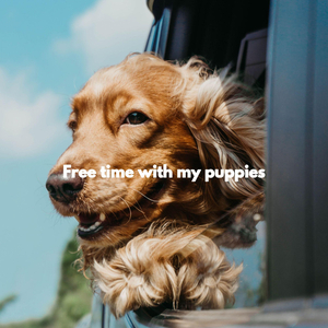 Background for Smooth Dreams