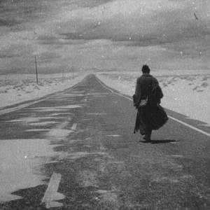 Corações Selvagens