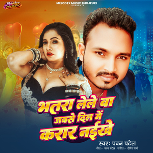 Bhatra Lele Ba Jabse Dil Me Karar Naikhe