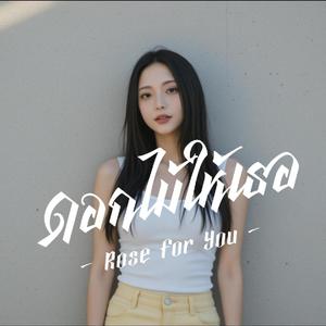 ดอกไม้ให้เธอ Rose for You