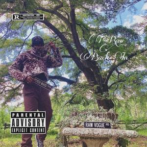 Back In (Rough Draft)