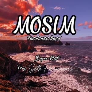 MOSIM