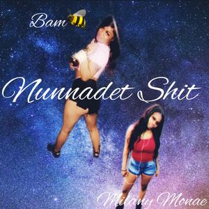 Nunnadet Shit (remix)