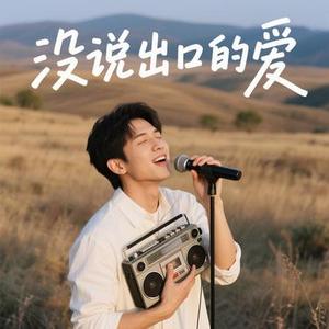 没说出口的爱