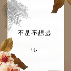 不是不想逃 (1.3x)